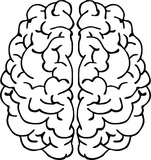 Black and White Brain